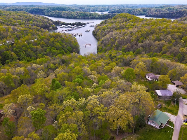 bird's eye view featuring a water view and a forest view