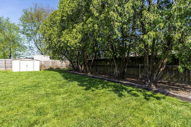 view of yard with an outbuilding, a storage unit, and a fenced backyard