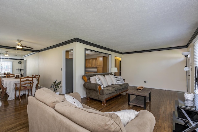 living area featuring hardwood / wood-style floors, ornamental molding, ceiling fan, and a textured ceiling