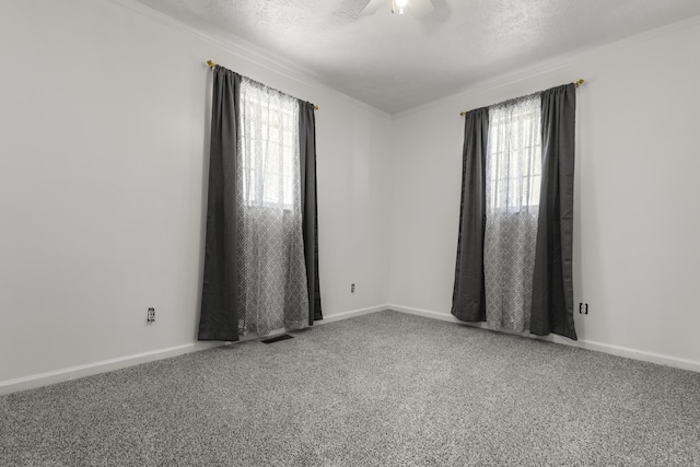 370 Poplar Ln, Morehead, KY 40351 - empty room featuring visible vents, plenty of natural light, baseboards, and carpet floors