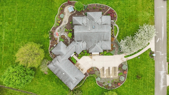 bird's eye view