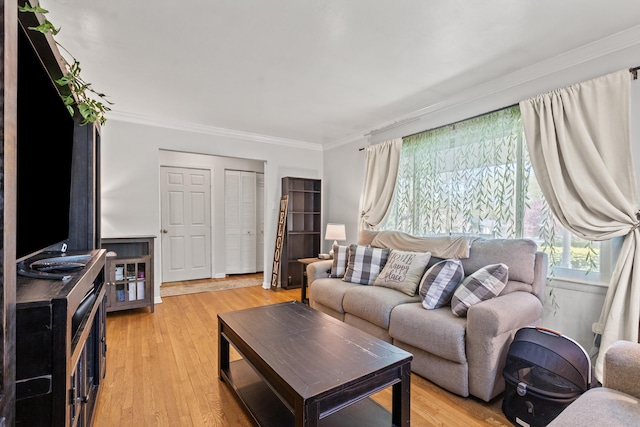 living area with light wood-type flooring and crown molding