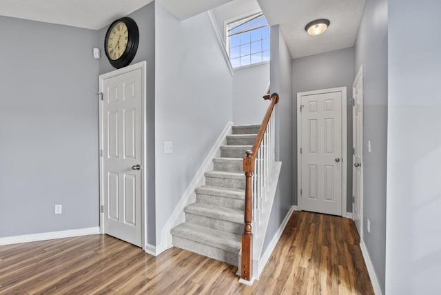 533 Lanarkshire Pl, Lexington, KY 40509 - stairway featuring wood finished floors and baseboards
