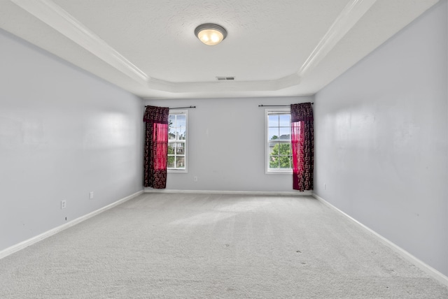 533 Lanarkshire Pl, Lexington, KY 40509 - carpeted empty room featuring a raised ceiling, plenty of natural light, ornamental molding, baseboards, and a textured ceiling