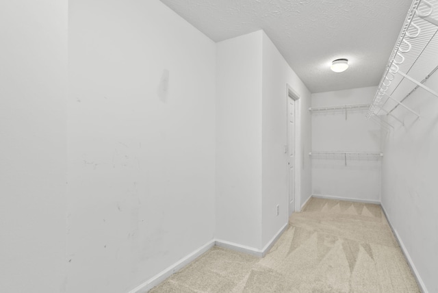 533 Lanarkshire Pl, Lexington, KY 40509 - walk in closet with light colored carpet