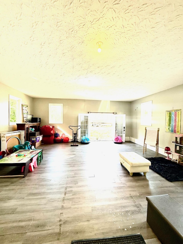 88 Powell Rd, Mckee, KY 40447 - living area featuring a textured ceiling and wood finished floors