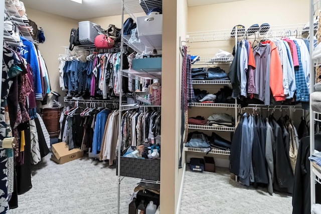 spacious closet with carpet flooring