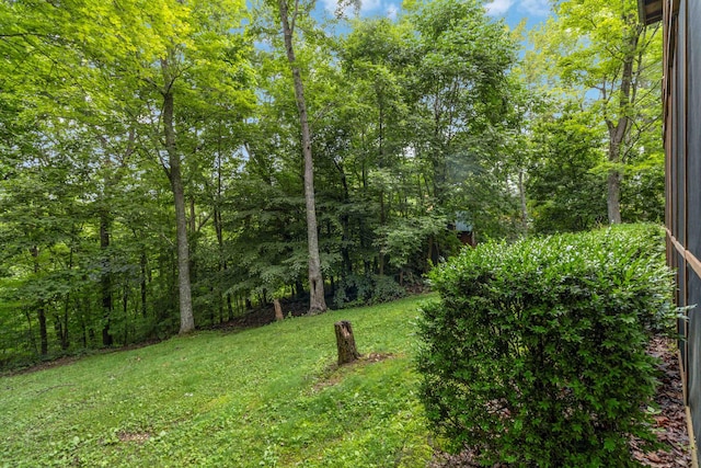 view of yard