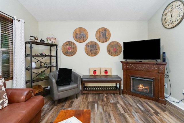 living room featuring a lit fireplace and wood finished floors