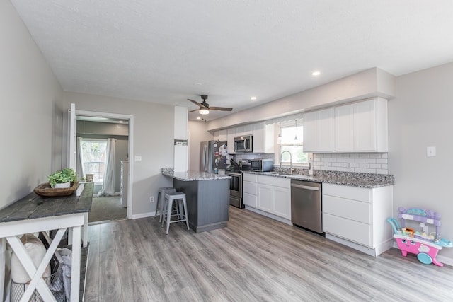 kitchen with appliances with stainless steel finishes, a wealth of natural light, and light wood-type flooring