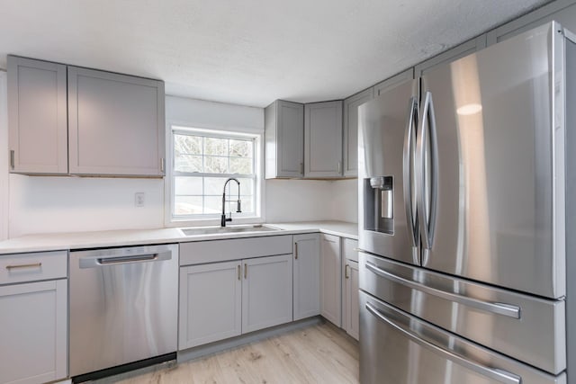 kitchen featuring light countertops, gray cabinets, a sink, light wood-style flooring, and appliances with stainless steel finishes