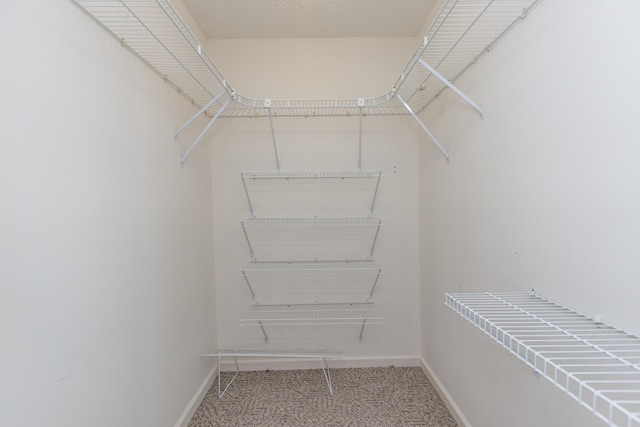 122 Barker Way, Lancaster, KY 40444 - spacious closet featuring carpet