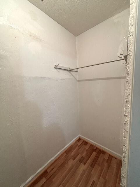 spacious closet featuring wood finished floors