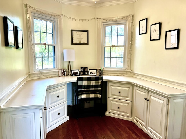 847 W Lexington Ave, Danville, KY 40422 - office featuring built in study area, dark wood-style floors, and crown molding