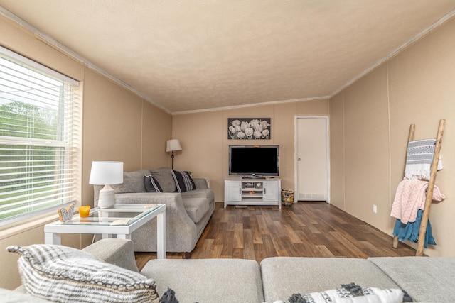 1132 State Highway 1662, Olive Hill, KY 41164 - living area featuring crown molding, wood finished floors, and lofted ceiling