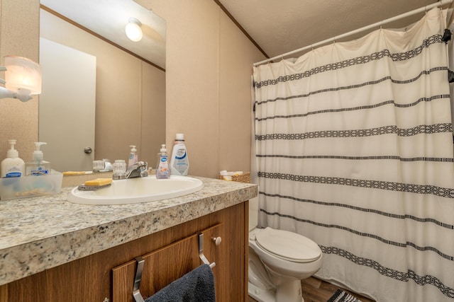 1132 State Highway 1662, Olive Hill, KY 41164 - full bath featuring toilet, curtained shower, and vanity