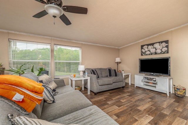 1132 State Highway 1662, Olive Hill, KY 41164 - living room featuring crown molding, a healthy amount of sunlight, and wood finished floors