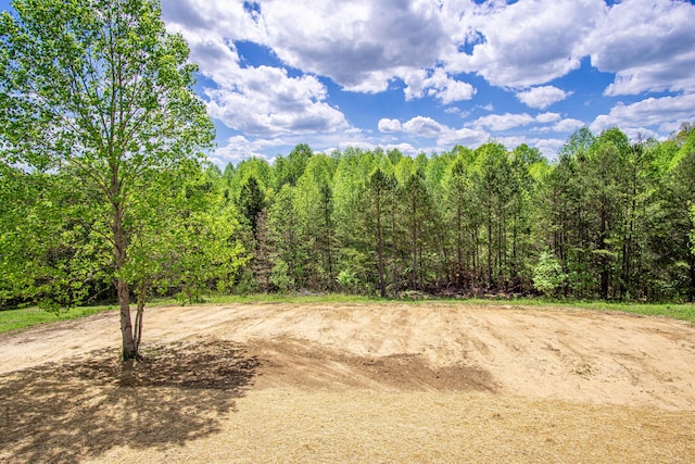 view of nature with a forest view