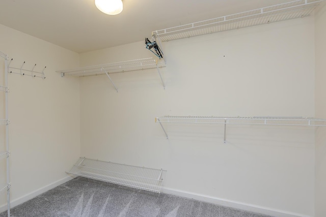 spacious closet with carpet
