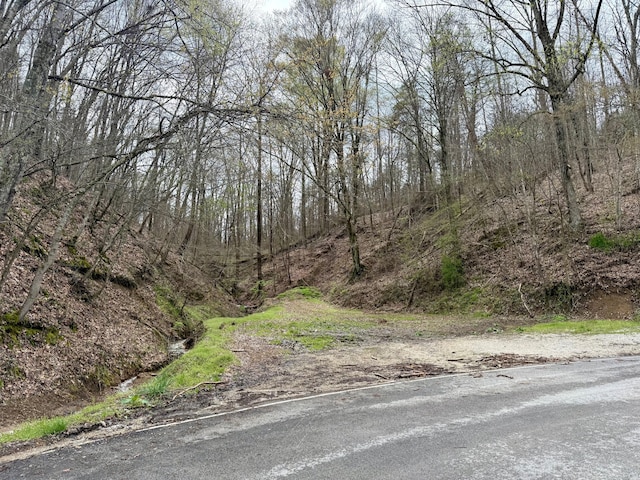 199 Proctor Rd, Beattyville KY, 41311 land for sale