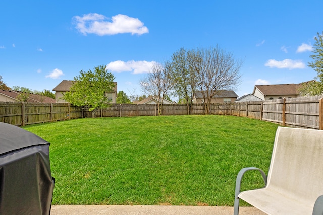 view of yard featuring a fenced backyard