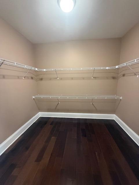 301 Lattern Way, Frenchburg, KY 40322 - walk in closet with wood finished floors
