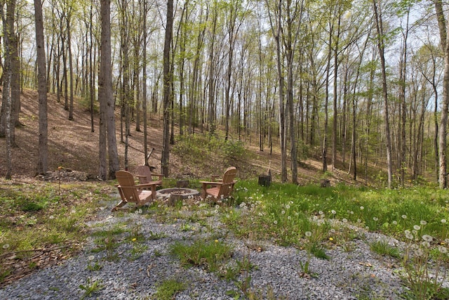 494 Deer Run Rd, Wellington, KY 40387 - view of landscape