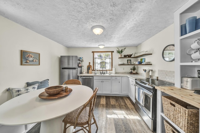 293 Deer Run Rd, Wellington, KY 40387 - kitchen with stainless steel appliances, open shelves, a sink, dark wood-type flooring, and a textured ceiling