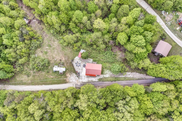 293 Deer Run Rd, Wellington, KY 40387 - bird's eye view