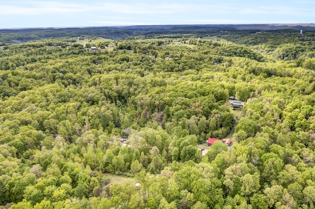 293 Deer Run Rd, Wellington, KY 40387 - drone / aerial view of a heavily wooded area