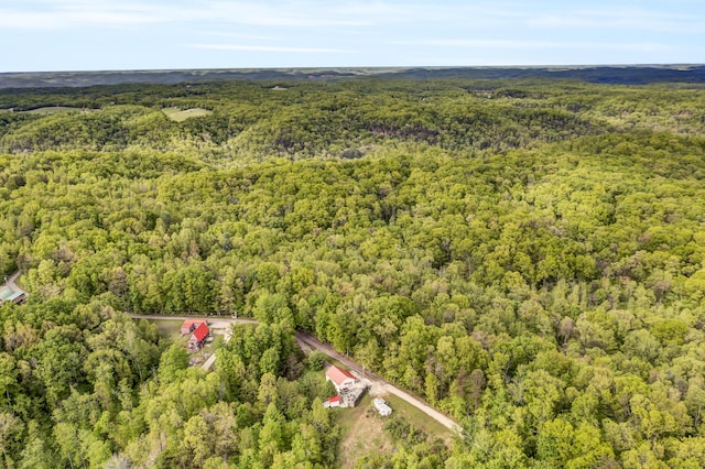 293 Deer Run Rd, Wellington, KY 40387 - aerial view of property's location featuring a forest