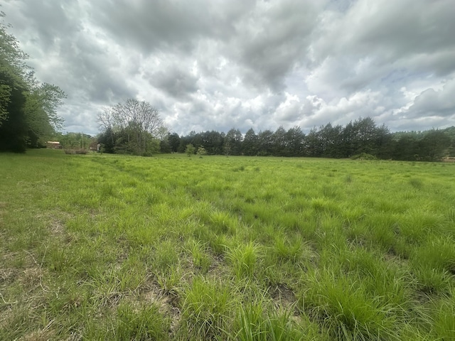 view of local wilderness featuring a rural view