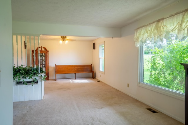 138 Hackett Pike, Richmond, KY 40475 - spare room with baseboards, visible vents, ceiling fan, and carpet floors