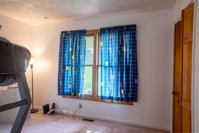 138 Hackett Pike, Richmond, KY 40475 - interior space featuring baseboards, visible vents, carpet floors, and a textured ceiling