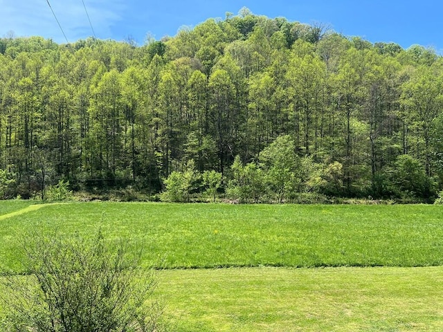 exterior space with a forest view