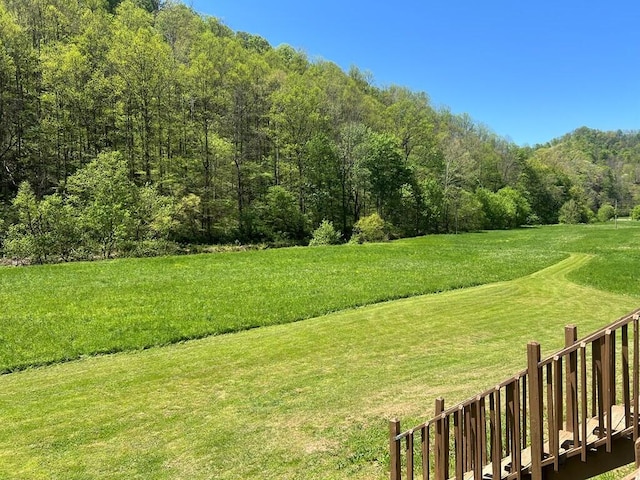 view of yard with a view of trees