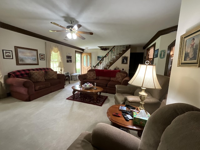 carpeted living area with stairway, ceiling fan, and crown molding