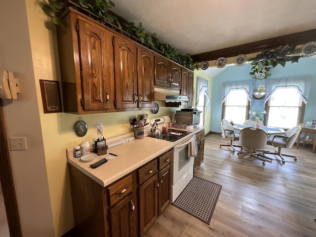 kitchen with light wood finished floors, light countertops, under cabinet range hood, and electric range