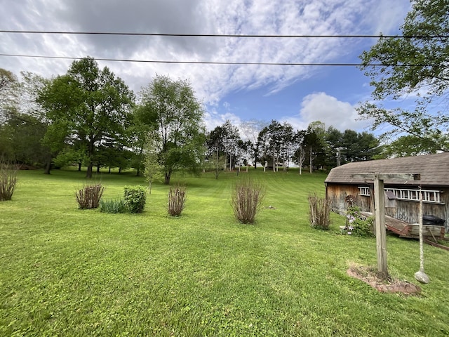 view of yard