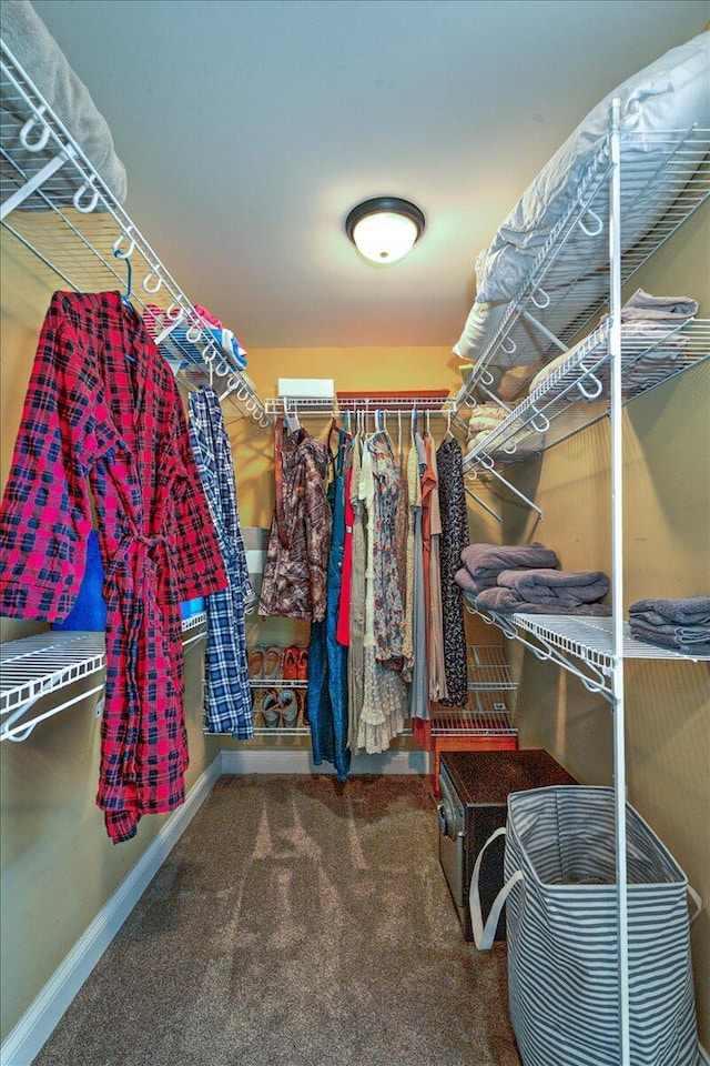 spacious closet with carpet flooring