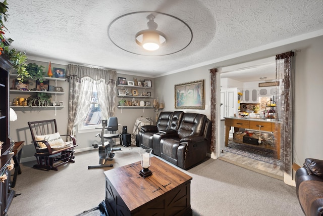 3576 Elkhorn Rd, Campbellsville, KY 42718 - carpeted living room with baseboards and a textured ceiling