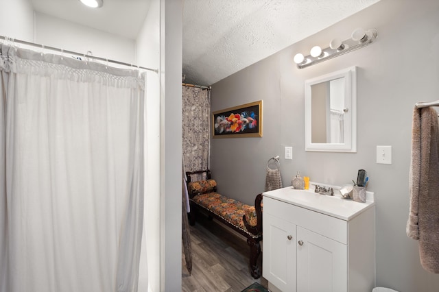 3576 Elkhorn Rd, Campbellsville, KY 42718 - bathroom featuring vanity, a textured ceiling, and wood finished floors