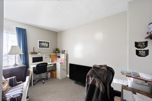 3576 Elkhorn Rd, Campbellsville, KY 42718 - carpeted office featuring a textured ceiling