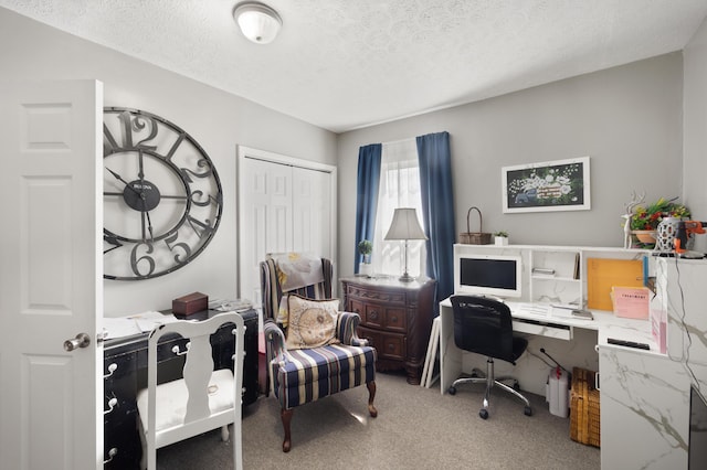 3576 Elkhorn Rd, Campbellsville, KY 42718 - carpeted home office featuring a textured ceiling