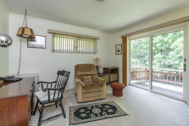 1964 Shadybrook Ln, Lexington, KY 40502 - living area with carpet flooring and ornamental molding