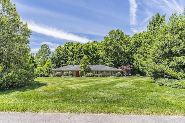 1964 Shadybrook Ln, Lexington, KY 40502 - view of green lawn