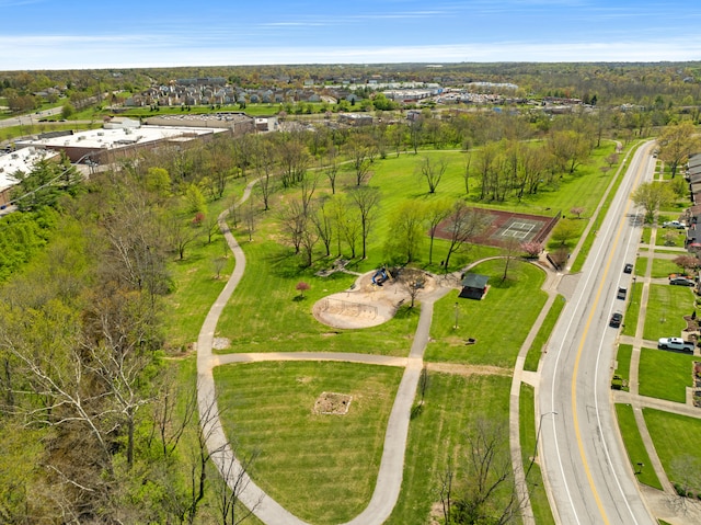 drone / aerial view