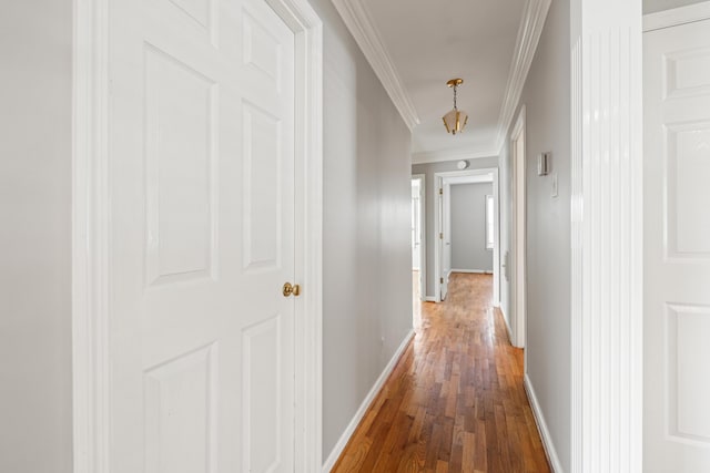 307 N Doctor St, Springfield, KY 40069 - hallway featuring baseboards, hardwood / wood-style flooring, and crown molding