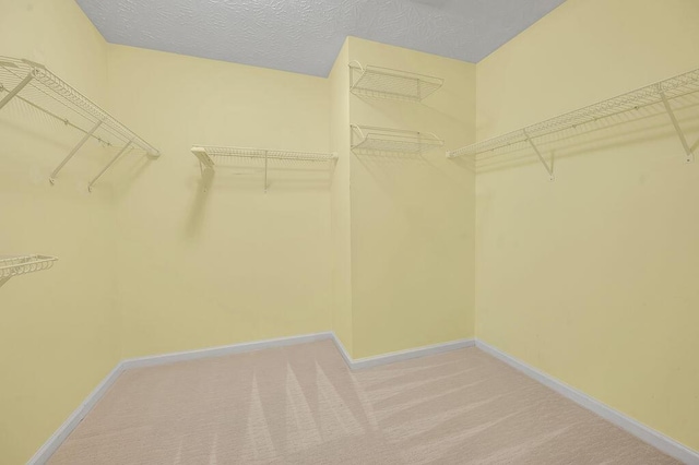 walk in closet with light carpet