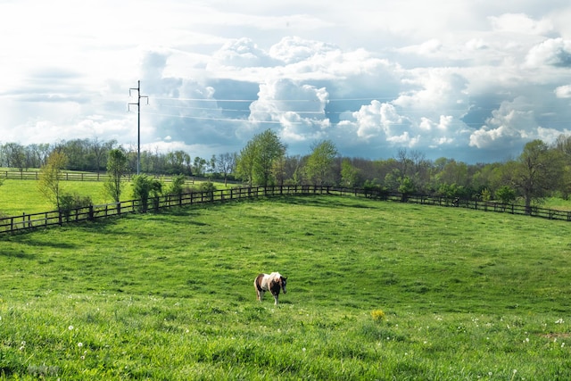 1770 Millersburg-Cynthiana Rd, Paris, KY 40361 - view of yard with a rural view and fence